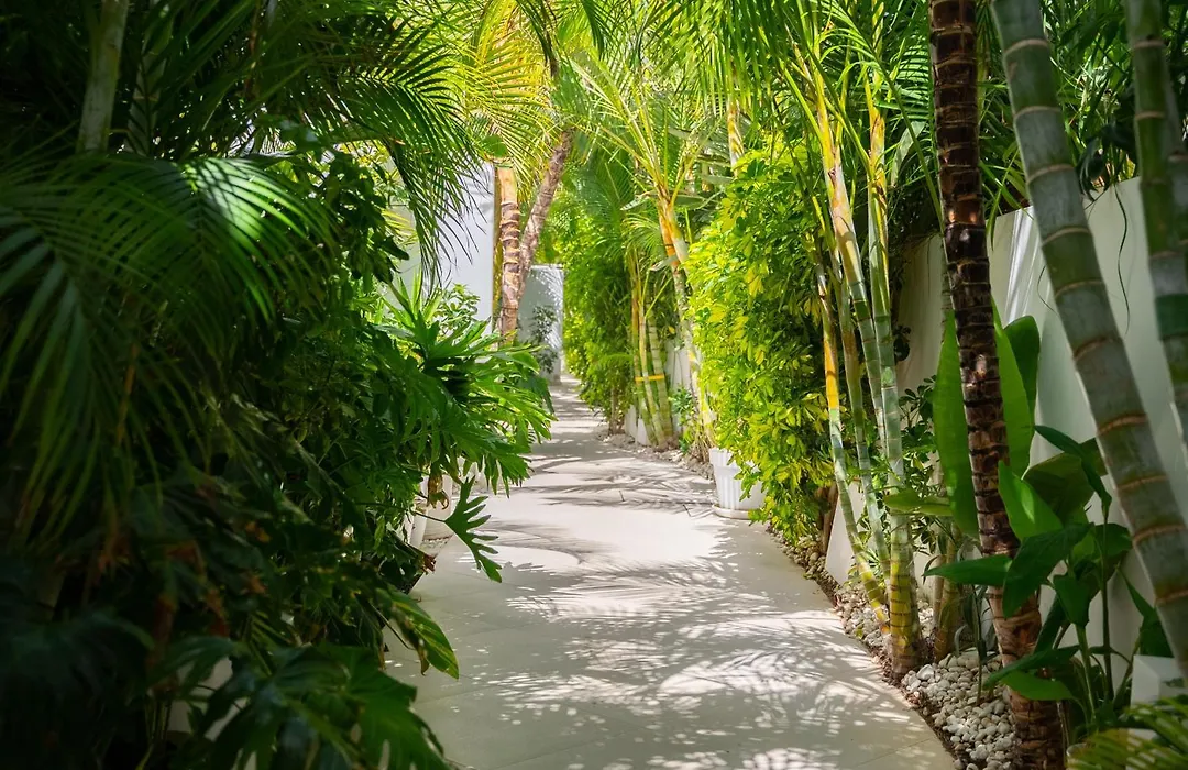 Lani'S Suites De Luxe - Adults Only-1