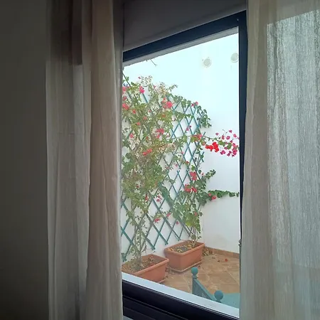 Casa Mocan-3