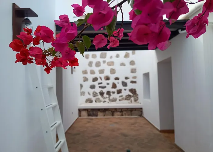 Casa Mocan Arrecife 