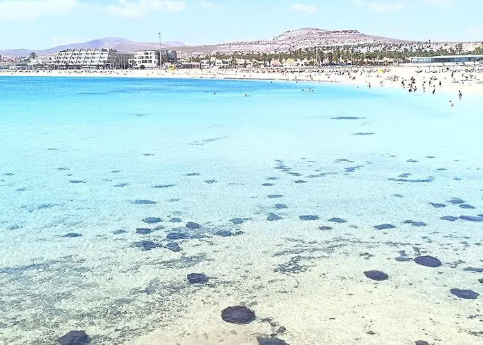 Apartamento En El Mar